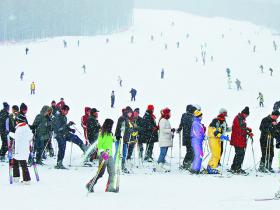 遼寧“冰雪熱”持續升溫 青少年參與增多