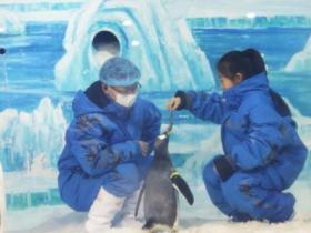 五省市冬季旅游市場：開發冰雪資源 打造熱門產業