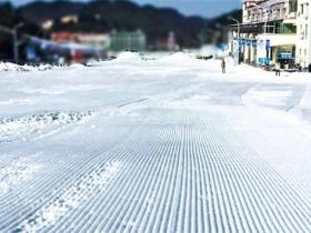 《教育部等四部門關于加快推進全國青少年冰雪運動進校園的指導意見》全文
