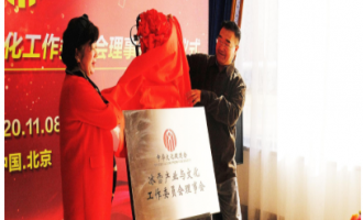 中華文化促進會冰雪產業與文化工作委員會助力冰雪發展