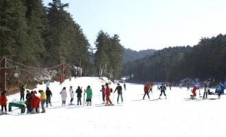 河北：與冬奧籌辦協同推進，讓冰雪產業成為新產業增長點