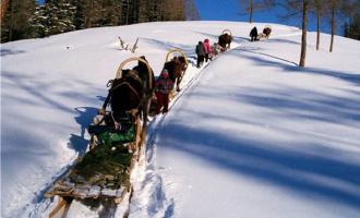 “冷資源”帶動“熱經濟” 冰雪旅游走俏還需哪幾步