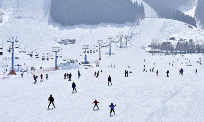 建一個小型滑雪場大概需要多少錢？