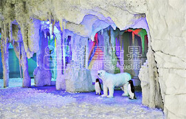 石家莊西部長青室內(nèi)滑雪館開業(yè)啦2