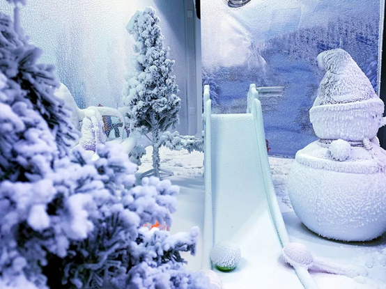 移動雪屋內景