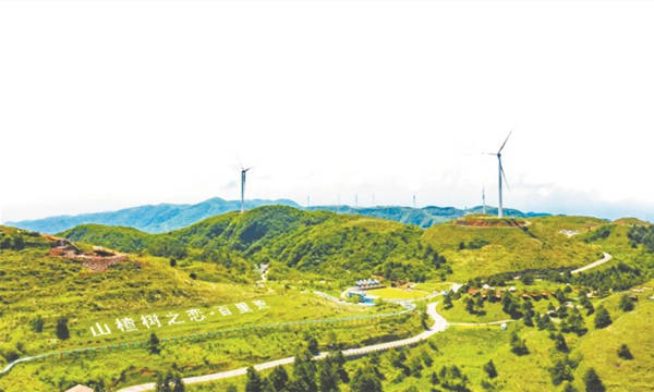 冬可滑雪，春可登山的百里荒景區