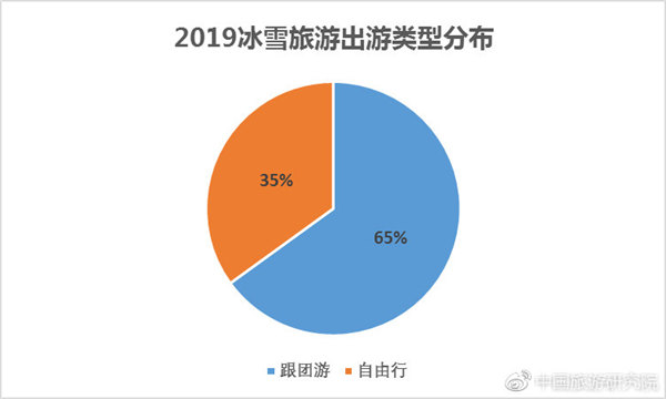 2019冰雪旅游出游類型分布