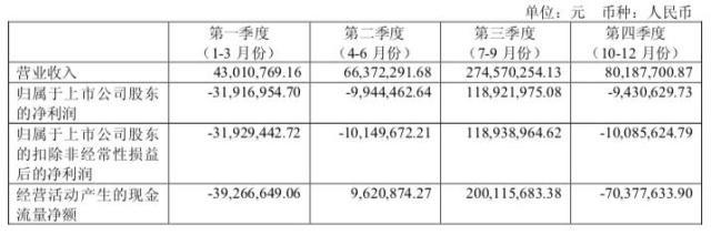 長白山2018年分季度財務數據