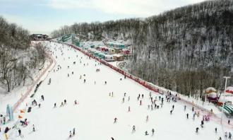湖北冰雪產業交流會在荊州舉行