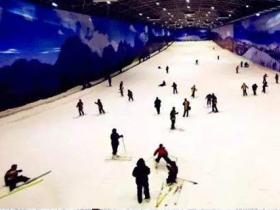 10000平的室內滑雪場應該建設幾條滑雪道？