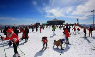 室外滑雪場中有哪些安全隱患？需要怎么預防?
