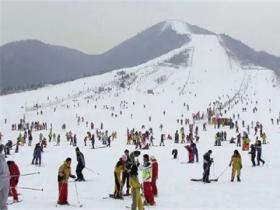 崇禮滑雪場開了嗎？什么時候開放？