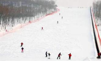 崇禮多樂(lè)美地滑雪場(chǎng)有多少條滑雪道？