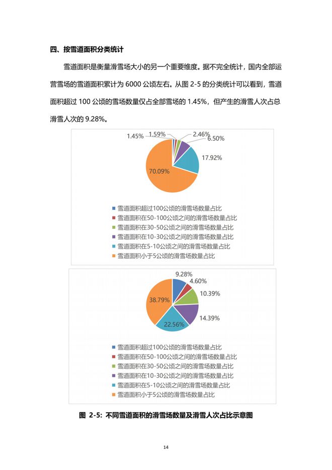 《2021中國滑雪產業白皮書》 15