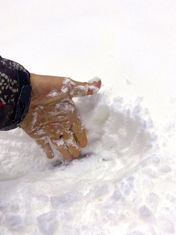雪質