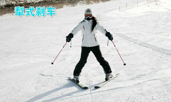 犁式制動
