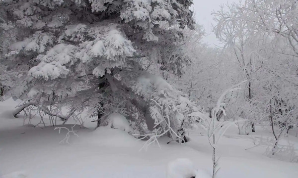 長白山雪景